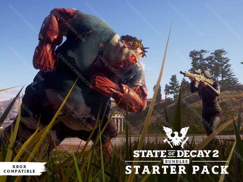 state of decay 2 starter pack
