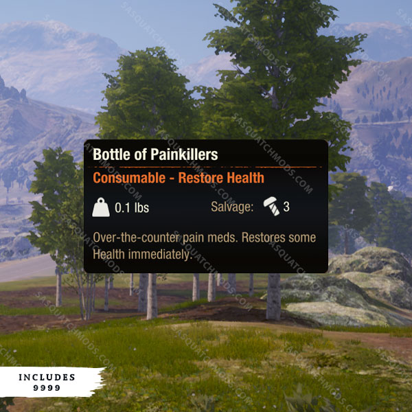 state of decay 2 bottles of painkillers