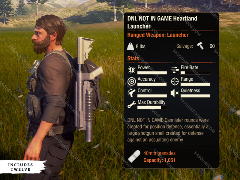 state of decay dnl not in game heartland launcher