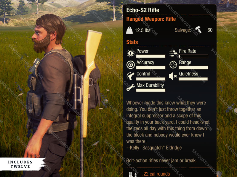 state of decay 2 Echo-s2 rifle