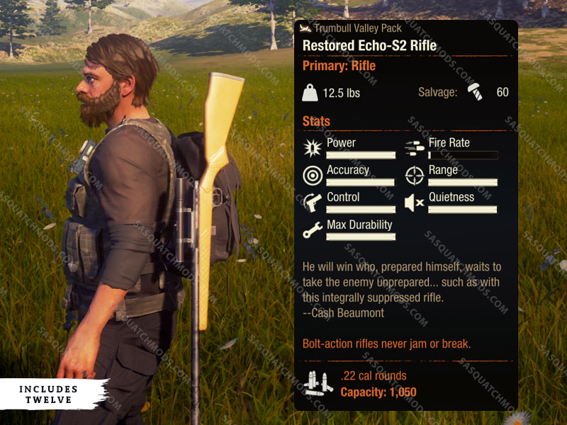 state of decay 2 restored echo s2 rifle
