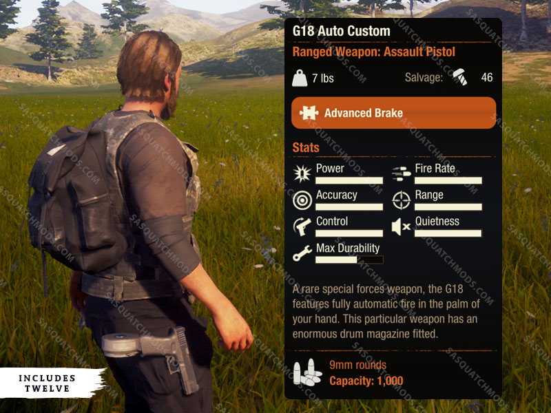 state of decay 2 G18 Auto Custom