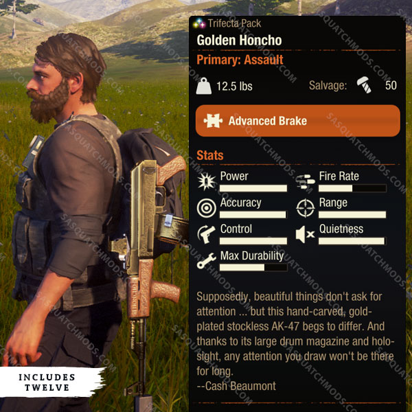 state of decay 2 Golden Honcho AK-47