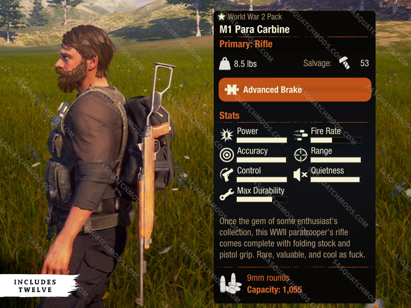 state of decay 2 m1 para carbine