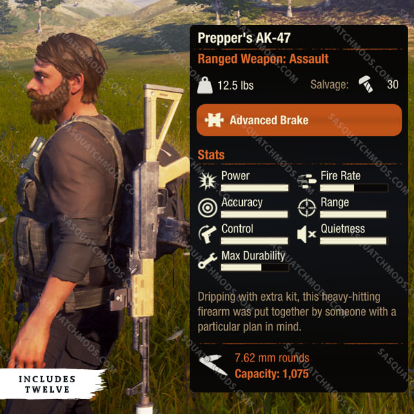state of decay 2 preppers ak-47