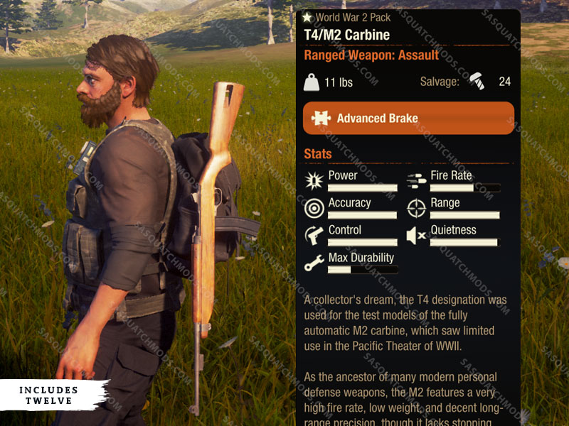 state of decay 2 t4/m2 carbine