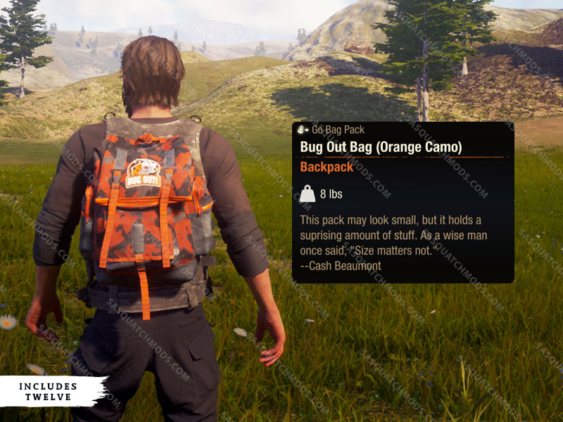 state of decay 2 bug out bag