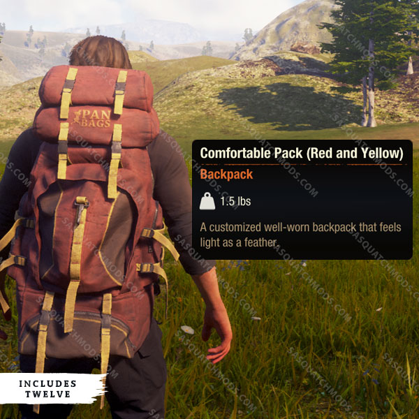 state of decay 2 comfortable pack