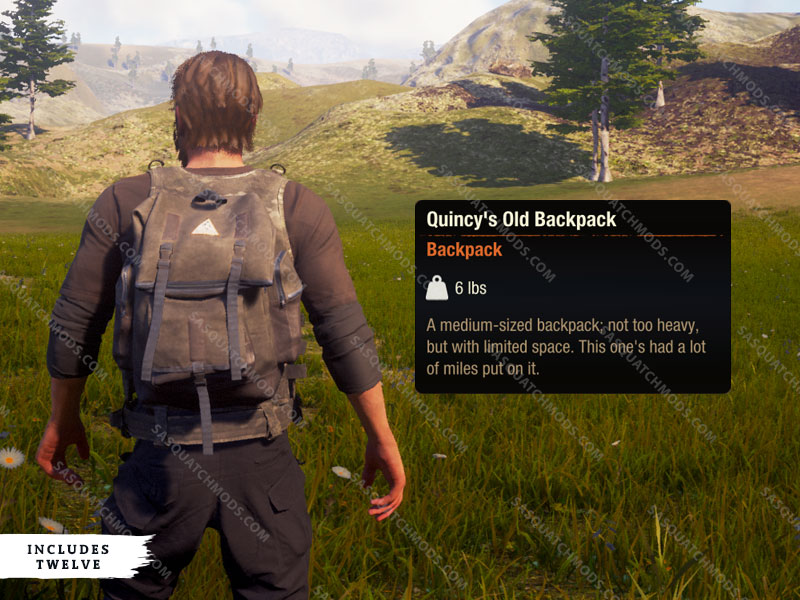 state of decay 2 Quincy's Old Backpack