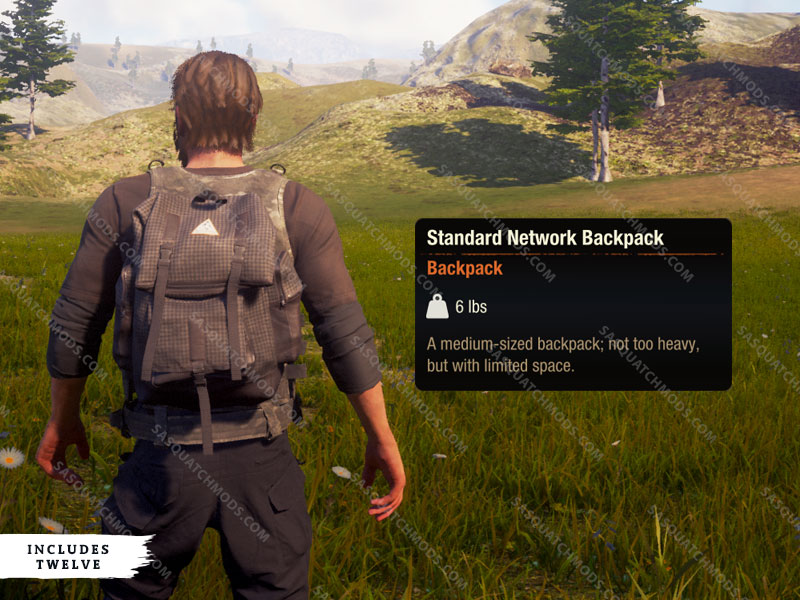 state of decay 2 standard network backpack