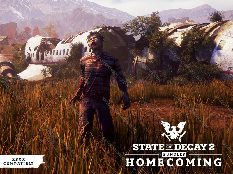 state of decay 2 homecoming pack