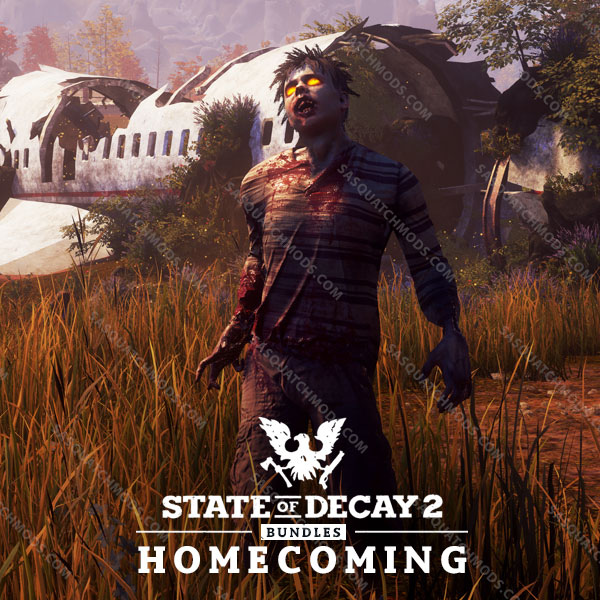 state of decay 2 homecoming