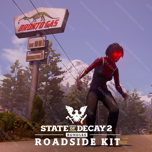 state of decay 2 roadside kit