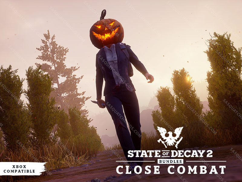 state of decay 2 close combat weapons