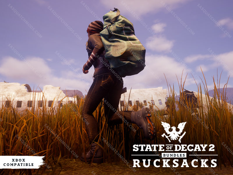 state of decay 2 rucksacks