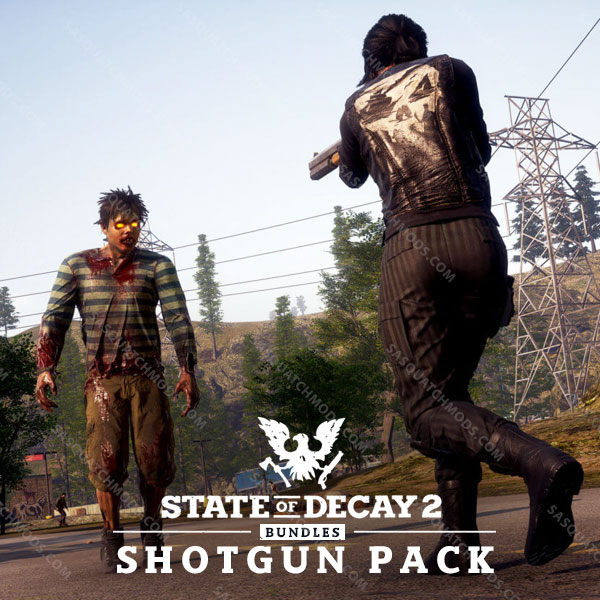 state of decay 2 shotgun Pack