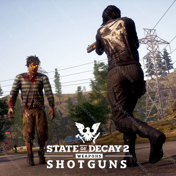 state of decay 2 shotguns