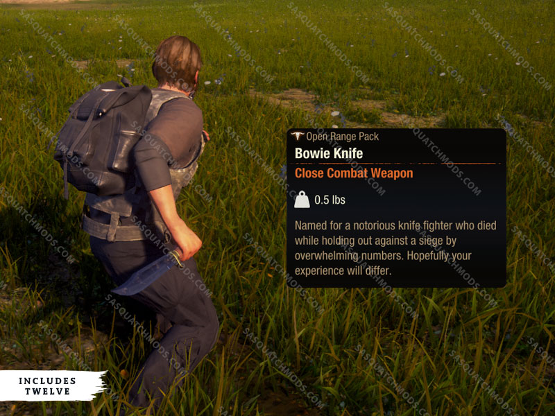 state of decay 2 bowie knife