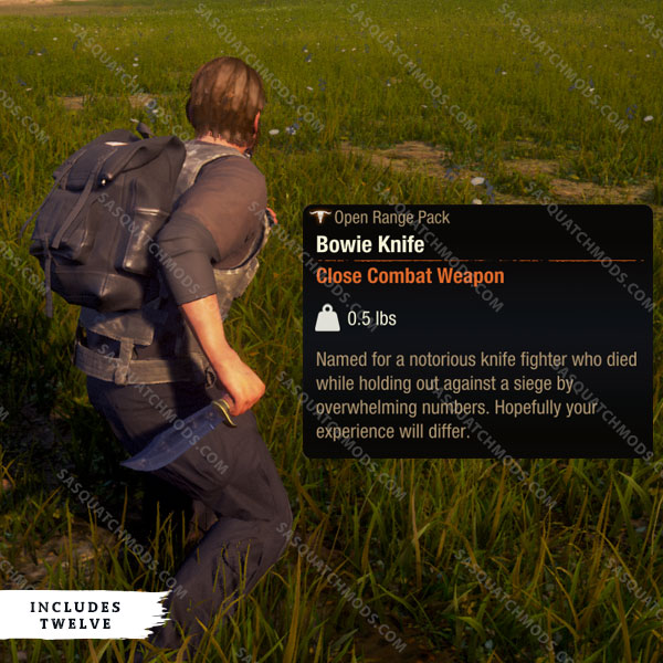 state of decay 2 bowie knife