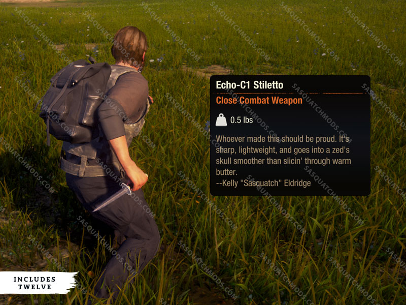 state of decay 2 echo-c1 stiletto