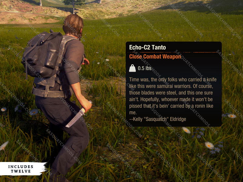 state of decay 2 echo-c2 tanto