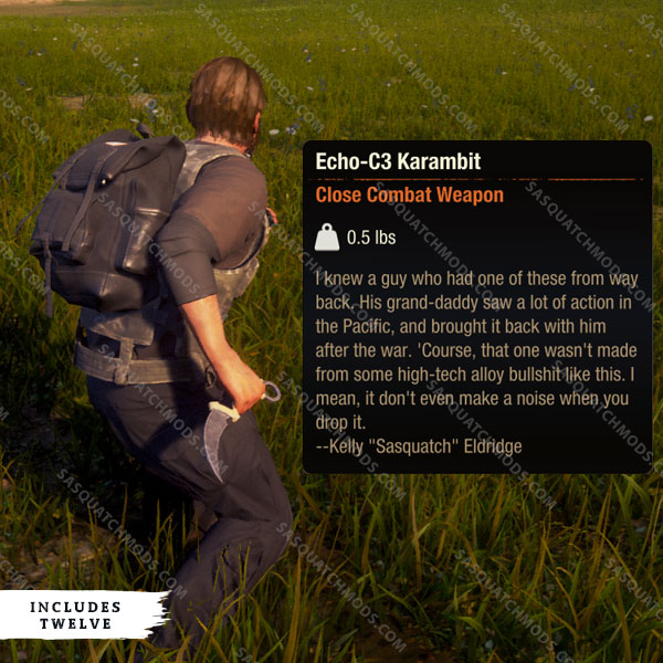 state of decay 2 echo-c3 karambit