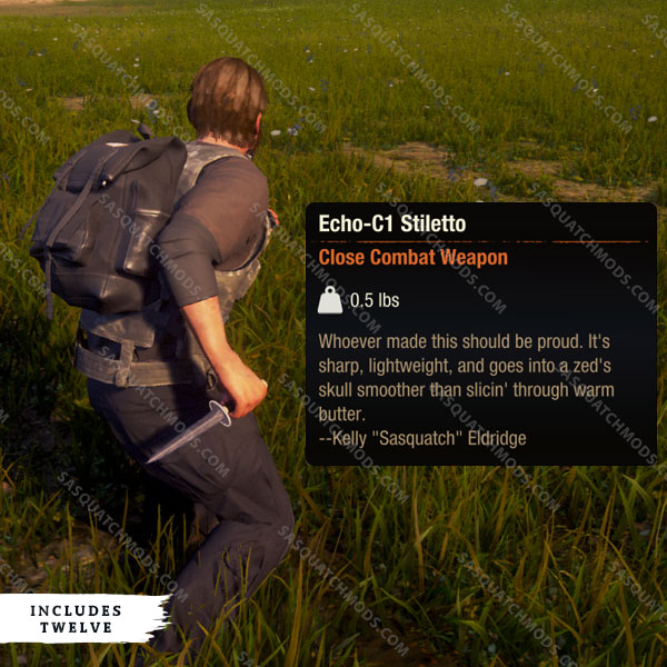 state of decay 2 echo-c1 stiletto