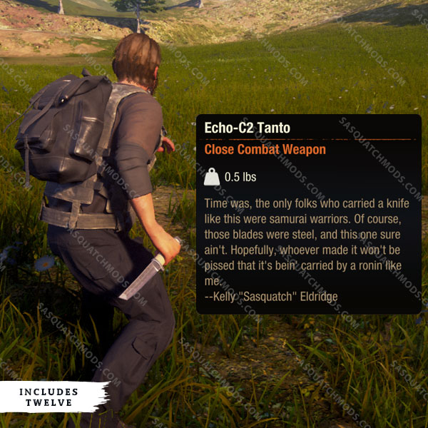 state of decay 2 echo-c2 tanto