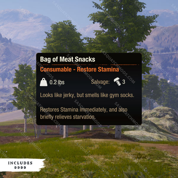 state of decay 2 Bag of Meat Snacks