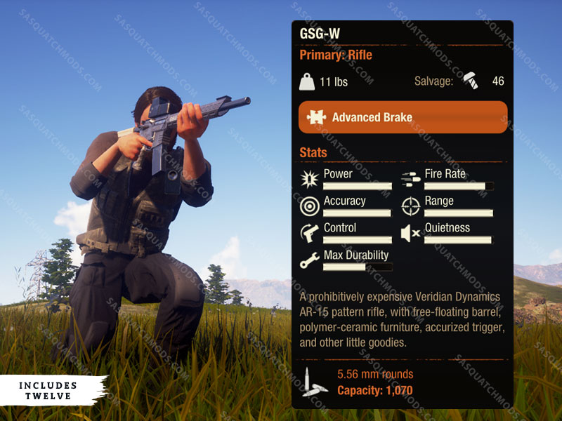 state of decay 2 gsg-w