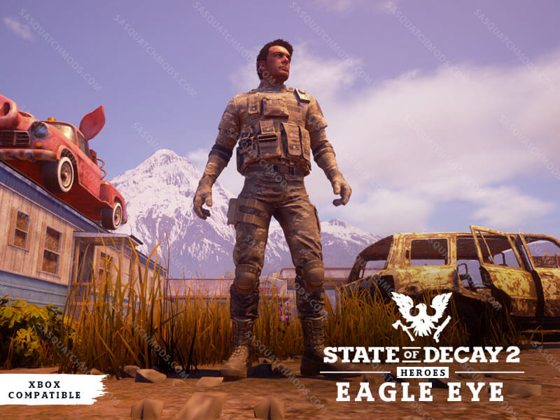 state of decay 2 eagle eye