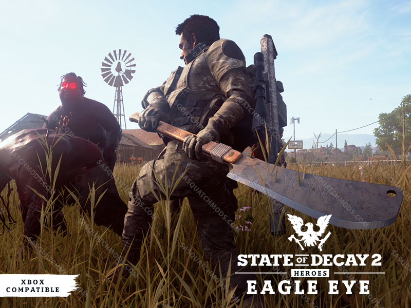 state of decay 2 eagle eye