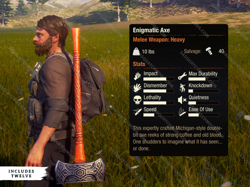 state of decay 2 enigmatic axe