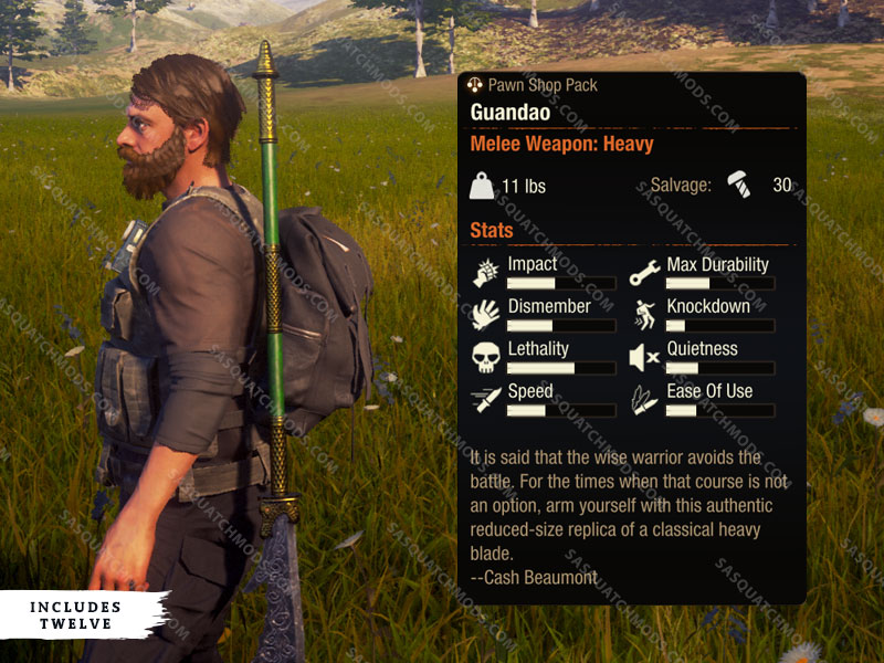 state of decay 2 guandao