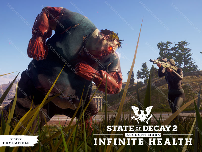 state of decay 2 infinite health