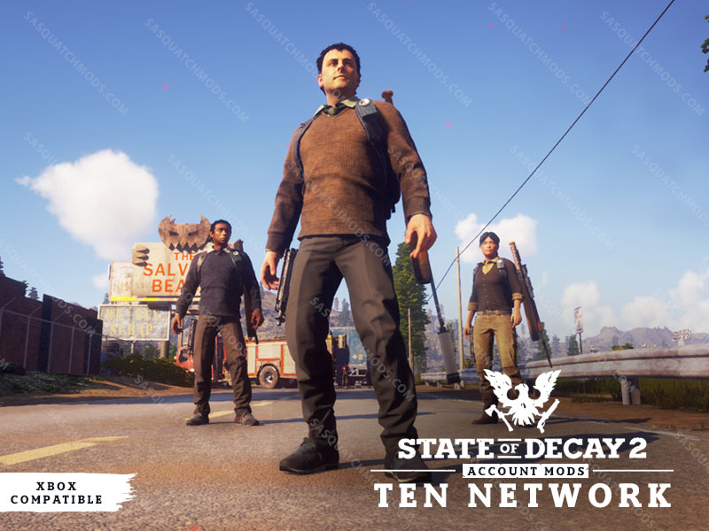 state of decay 2 the network