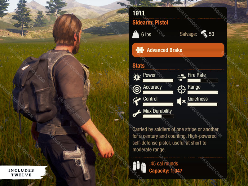 state of decay 2 1911