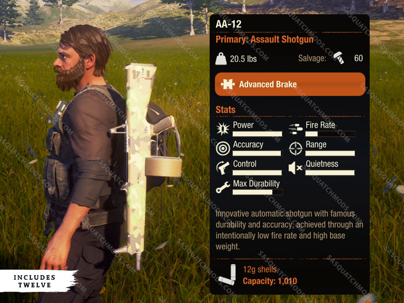 state of decay 2 AA-12 Shotgun