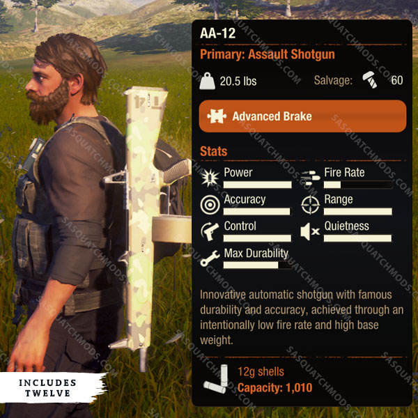 state of decay 2 aa-12 shotgun