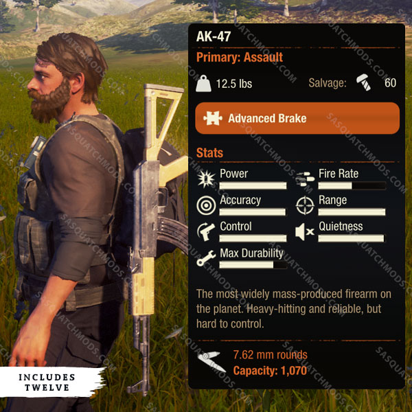 state of decay 2 ak-47
