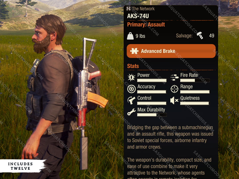 State of Decay 2 Assault Rifles - Sasquatch Mods