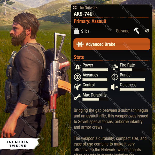 State of Decay 2 Assault Rifles - Sasquatch Mods