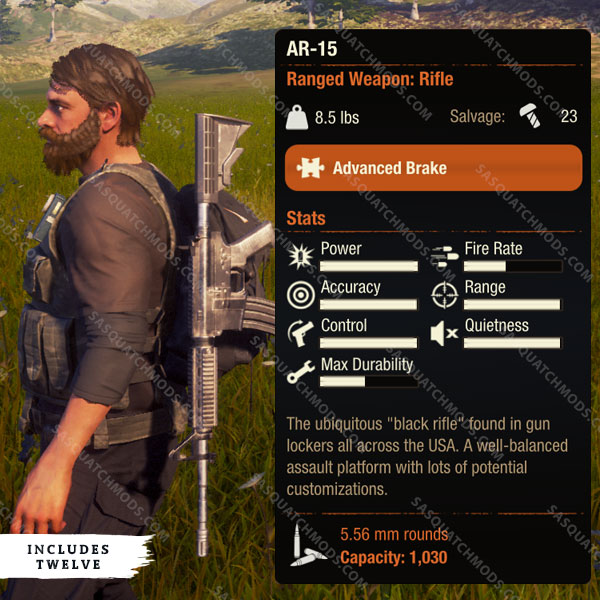 State of Decay 2 Assault Rifles - Sasquatch Mods