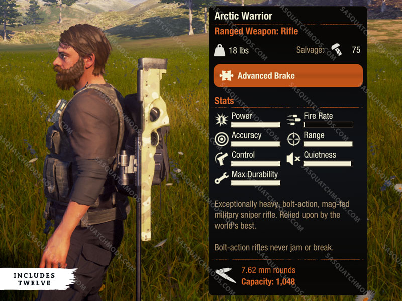 state of decay 2 arctic warrior