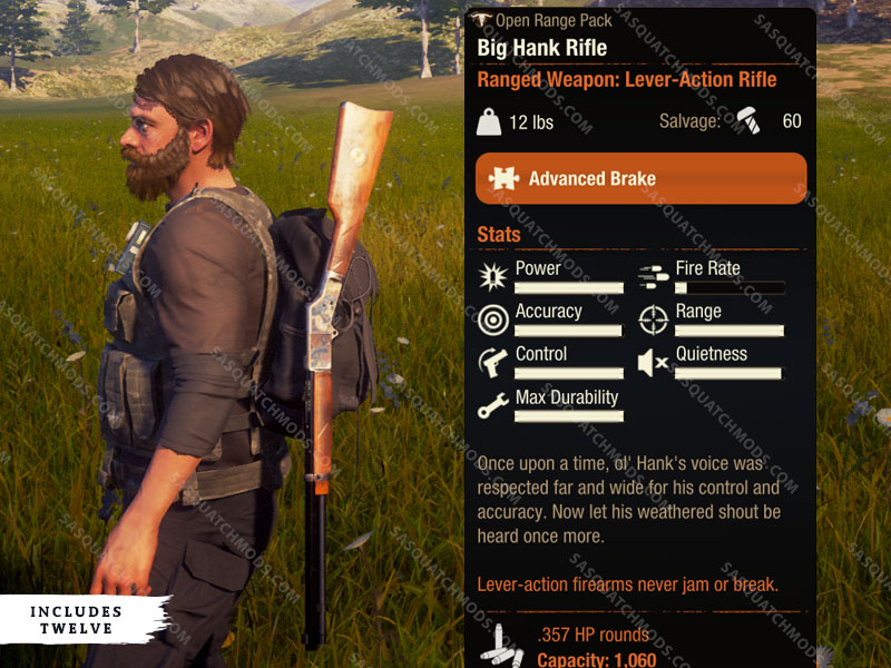 state of decay 2 big hank rifle