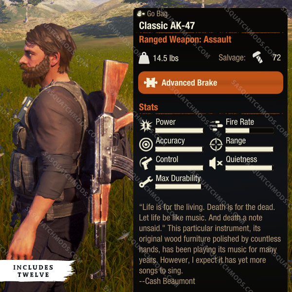 state of decay 2 classic ak-47