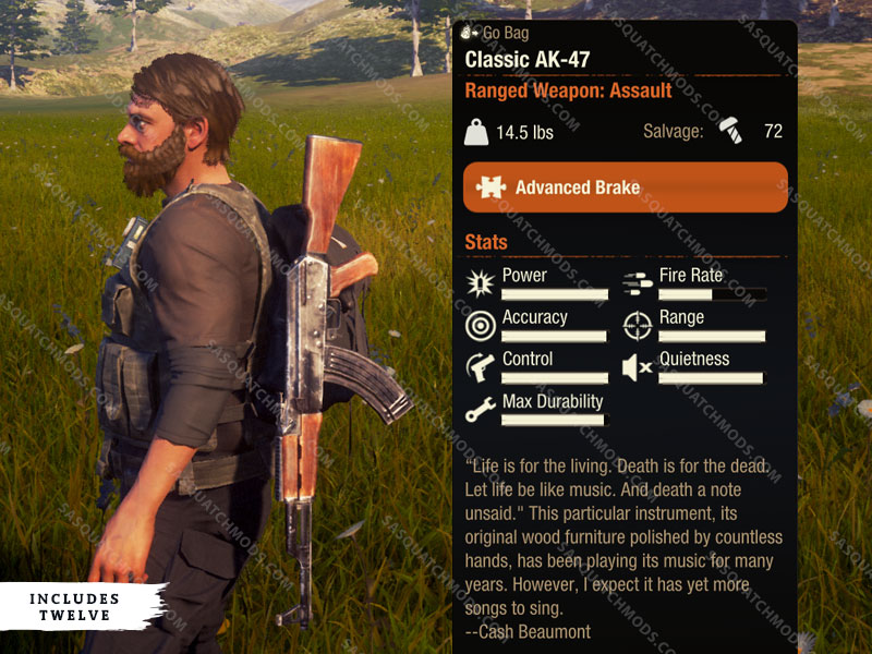 state of decay 2 classic ak-47