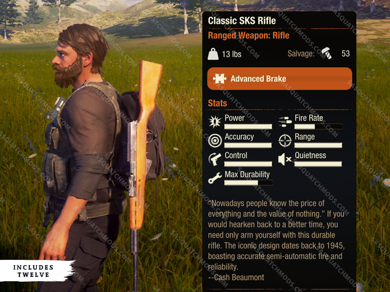 state of decay 2 Classic SKS Rifle