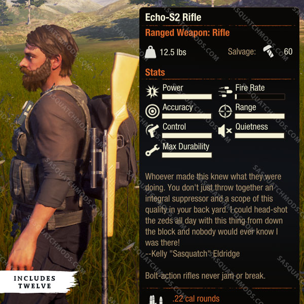 state of decay 2 echo-s2 rifle