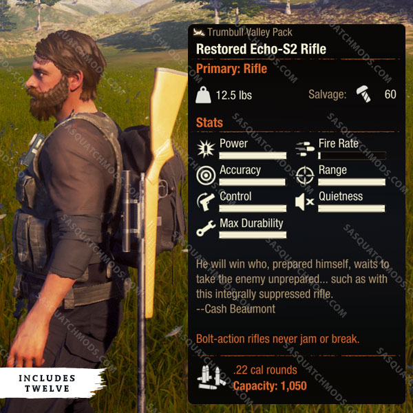 state of decay 2 restored echo-s2 rifle